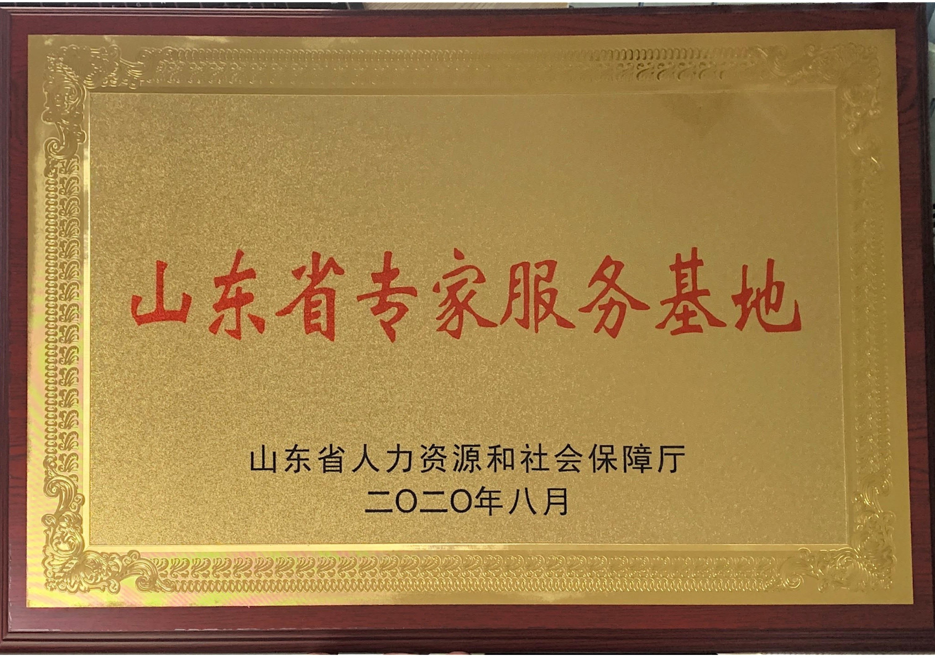 山東省智能制造標(biāo)桿企業(yè) 山東省智能制造標(biāo)桿企業(yè)